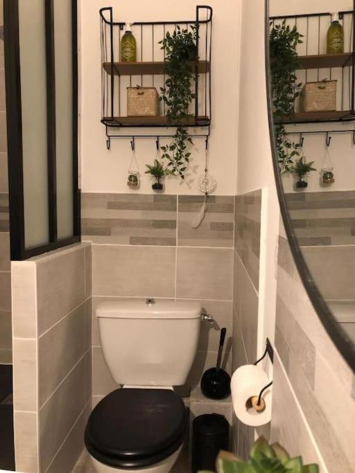 Studio Au Pied De La Cite Каркассон Экстерьер фото